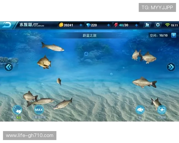 《钓鱼探险之刮鳞喂鱼大挑战乐园》 《钓鱼探险之刮鳞喂鱼大挑战乐园》